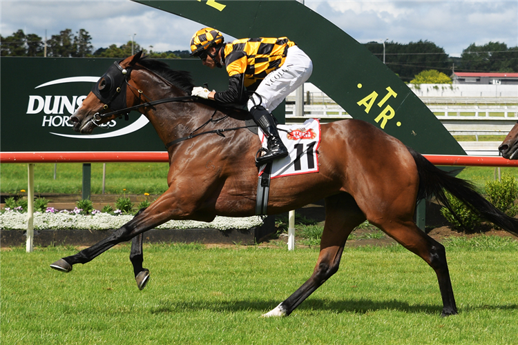 Snazzytavi on target for higher honours