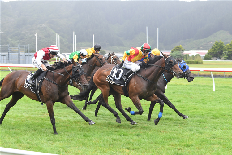 SOLDIER BOY winning the JAPAC HOMES MARTON CUP