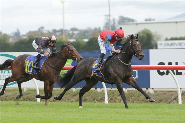 SOLIDIFY winning the DECISE ELECTRICAL AND CONTROL 2YO