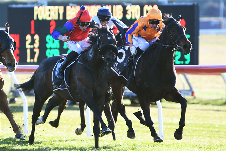 Solidify scores at Taupo