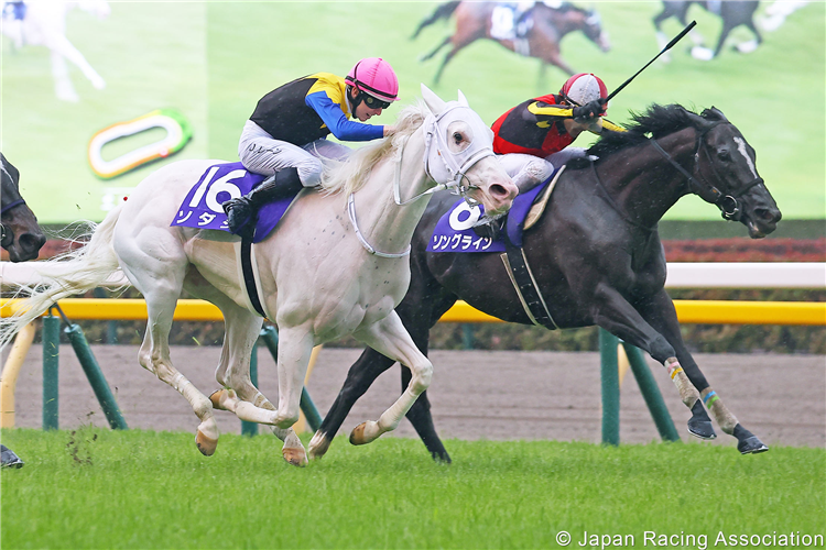 SONGLINE winning the Victoria Mile at Tokyo in Japan.