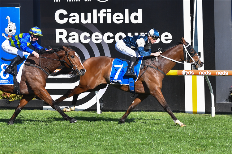 SOULCOMBE winning the Tile Importer Heatherlie Stakes at Caulfield in Australia.
