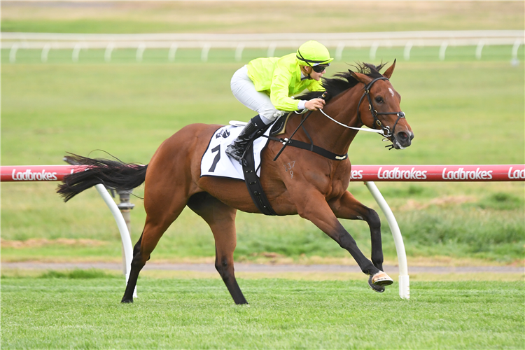 SOUTH OF HOUSTON winning the Thoroughbred Club Australia Handicap at Ladbrokes Park Lakeside in Springvale, Australia.