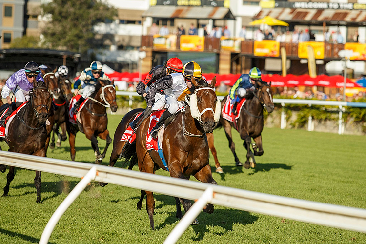 SPECIAL SWEY winning the LADBROKES ROUGH HABIT PLATE