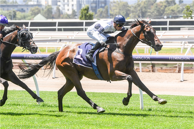 SPIRIT RIDGE winning the Vale Sir Patrick Hogan KNZM CBE at Flemington in Australia.