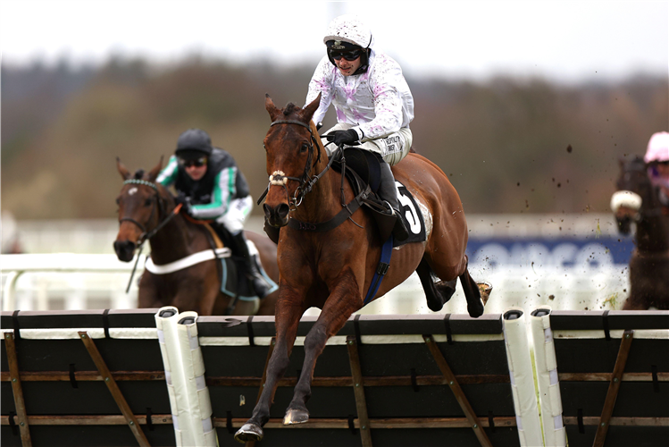 SPRINGWELL BAY ridden by jockey Jonjo O'Neill on their way to winning the Ascot Racecourse Supports Schools Poetry Competition Novices' Hurdle at Ascot on Saturday February 18, 2023.
