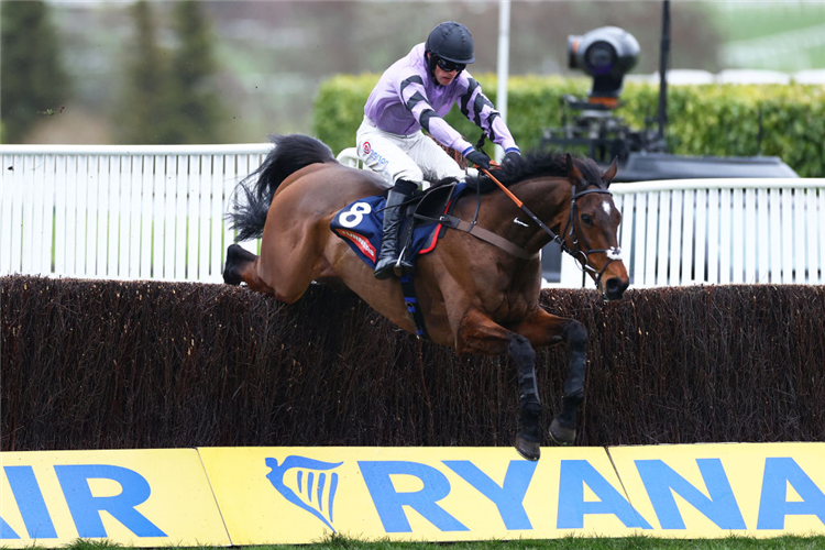 STAGE STAR winning the Turners Novices' Chase at Cheltenham in England.