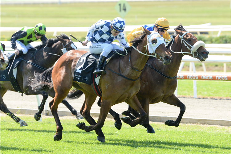 「星条旗宝贝」夺冠梅赛德斯奔驰莫宁顿让赛（Mercedes Benz Mornington Handicap）