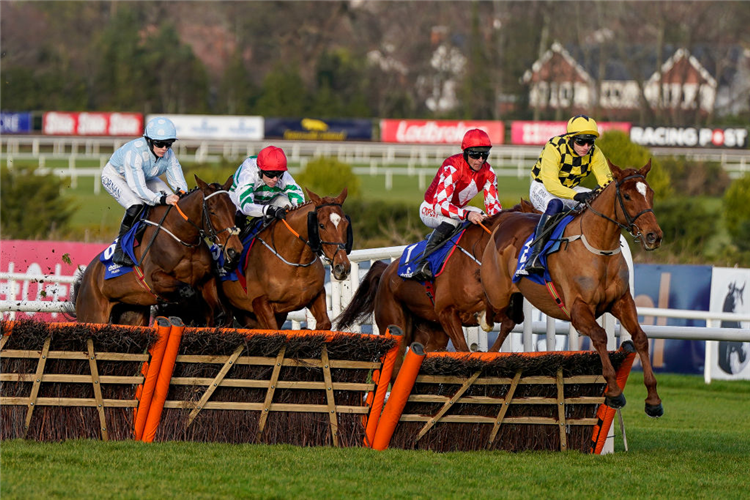 STATE MAN winning the Irish Champion Hurdle at Leopardstown in Dublin, Ireland.