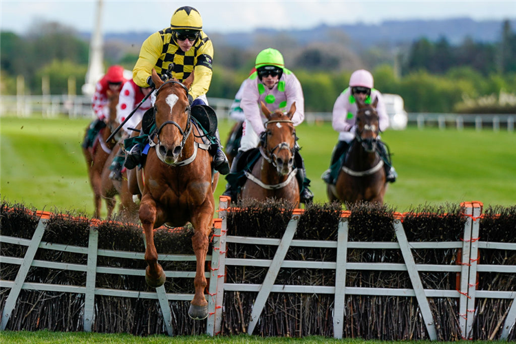 STATE MAN winning the Paddy Power Champion Hurdle at Punchestown in Naas, Ireland.