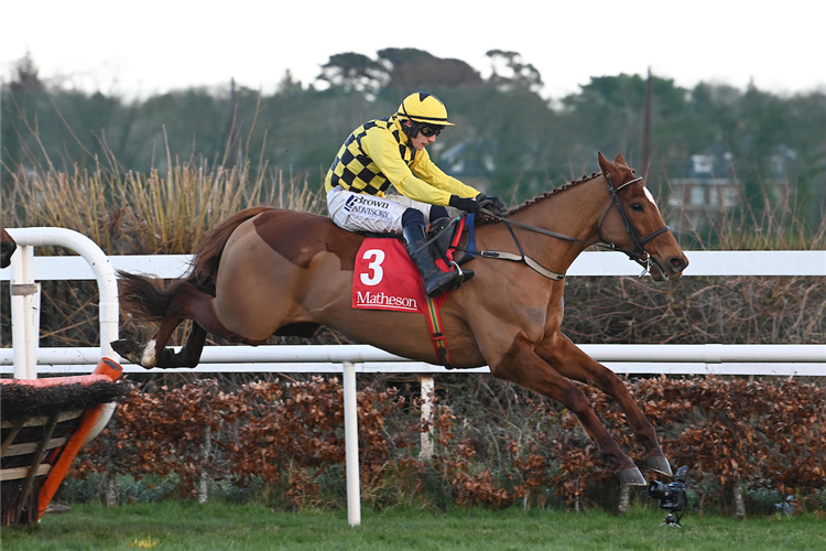 State Man on the way to success in the Grade 1 Matheson Hurdle at Leopardstown.