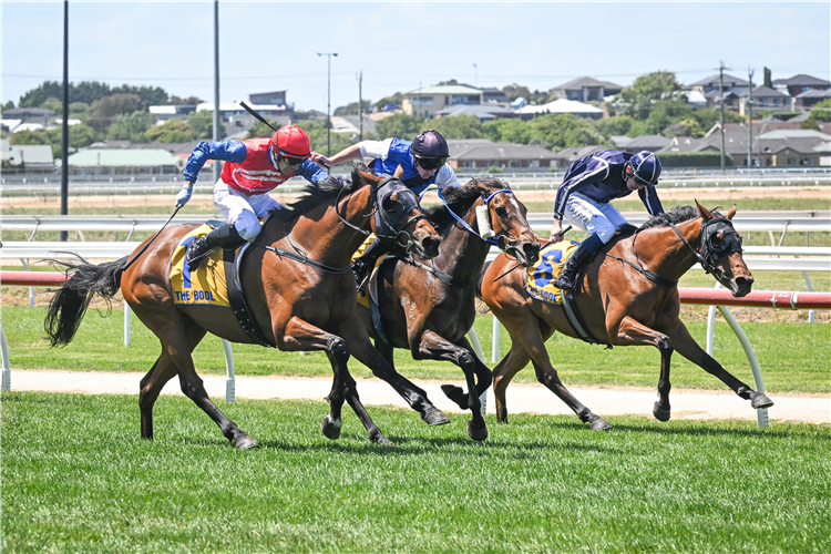 STAYING STRONG (centre, black cap) winning the Jericho Cup Consolation at Warrnambool in Australia.