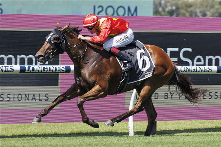 STEEL CITY winning the TRESEMME MAGIC NIGHT STAKES at Rosehill in Australia.