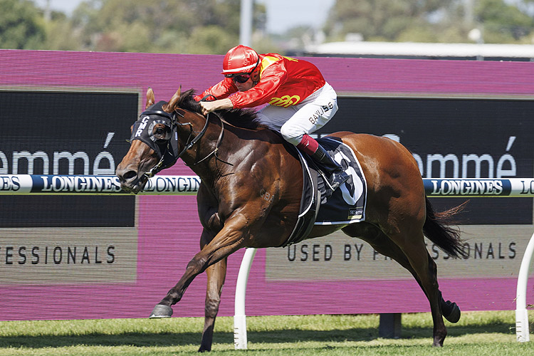 STEEL CITY winning the TRESEMME MAGIC NIGHT STAKES