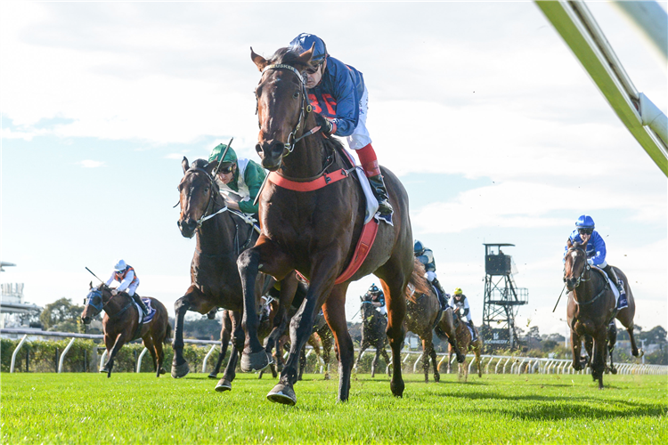 Bolted In (royal blue) finished third to Steparty at Flemington last start.