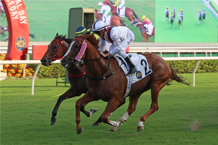 STOLTZ winning the National Day Cup.