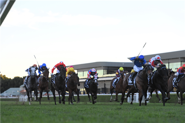 STONECOATwinning the THE AGENCY REAL ESTATE HANDICAP at Randwick in Australia.