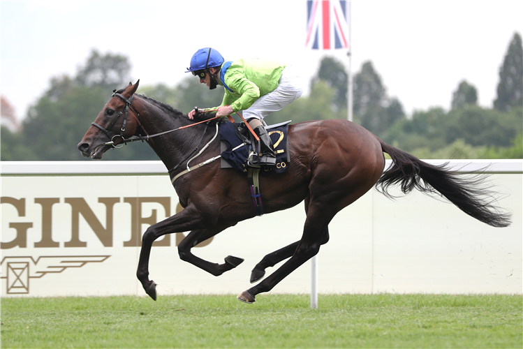 Subjectivist ridden by jockey Joe Fanning. Mark Johnston has placed Subjectivist among the best three horses he ever trained but confesses it is a “wing and a prayer job” as to whether he will ever return to his very best.