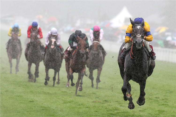 SUMO SAM winning the Qatar Lillie Langtry Stakes (Group 2)