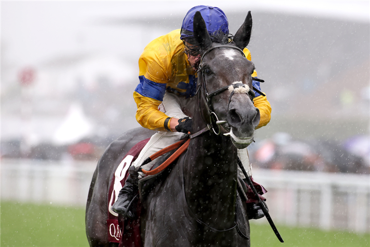SUMO SAM winning the Qatar Lillie Langtry Stakes (Group 2)