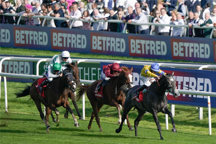 SUMO SAM winning the Fillies' Stakes at Doncaster in England.