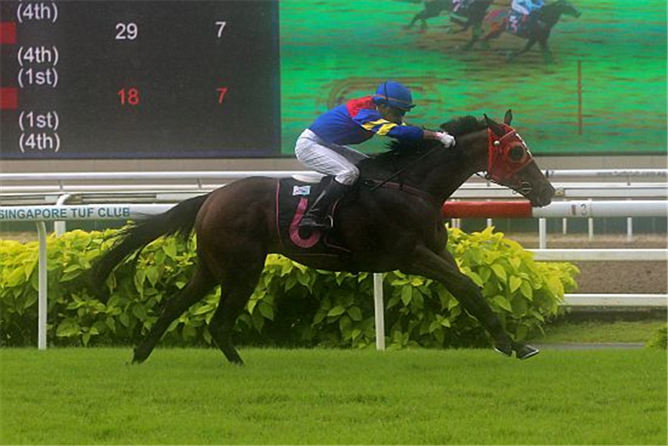 SUN PALACE winning the EMPEROR MAX 2016 STAKES CLASS 5