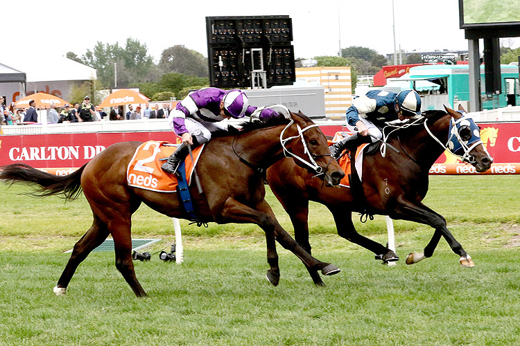 Sunsets held off Derby favourite Riff Rocket to win the Caulfield Classic.