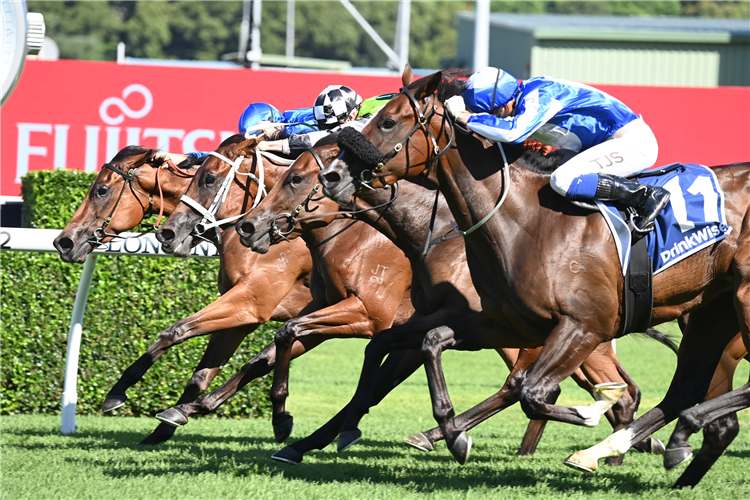 2024 Surround Stakes Race History Racing And Sports   Horse Sunshine In Paris 187121 750x500 