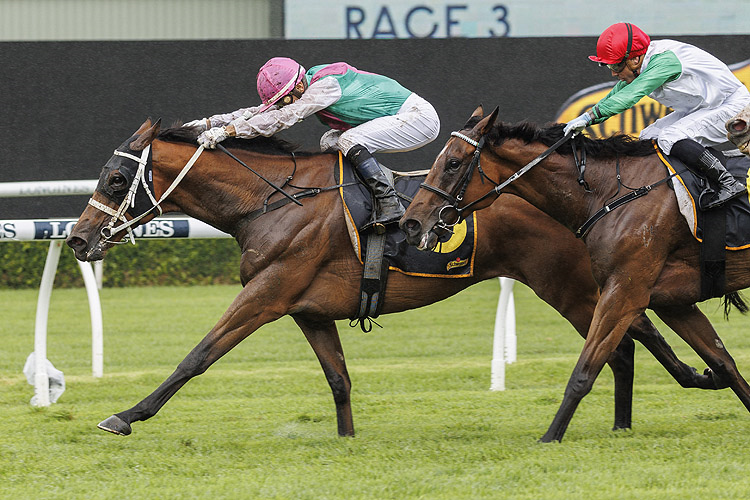 2024 Chairman’S Quality Race History Racing and Sports