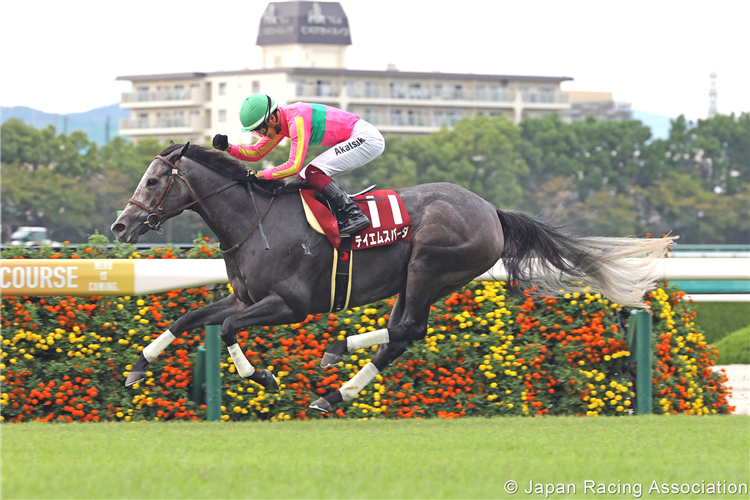 T M SPADA winning the Centaur Stakes at Hanshin in Japan.