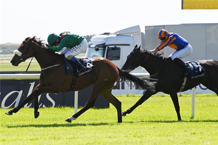 Tahiyra and Chris Hayes win the Tattersalls Irish 1000 Guineas at Curragh in Ireland.