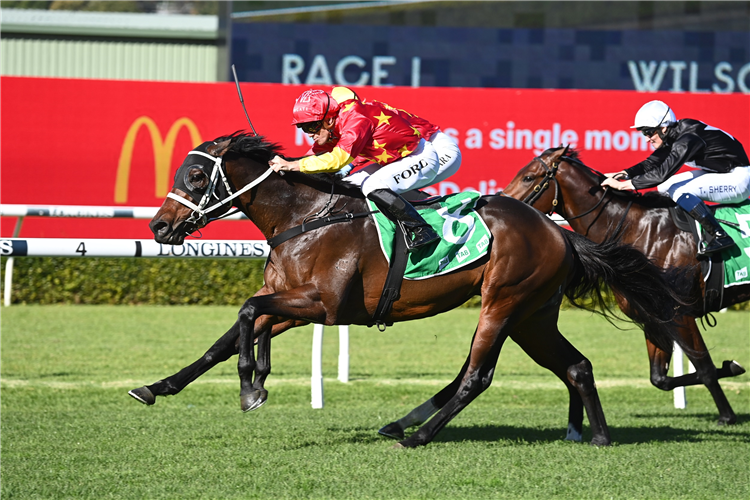 TANNHAUSER winning the Wilson Asset Management Handicap at Randwick in Australia.