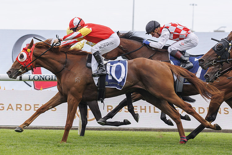 TAPILDOODLEDO winning the ELITE SAND & SOIL TULLOCH STAKES