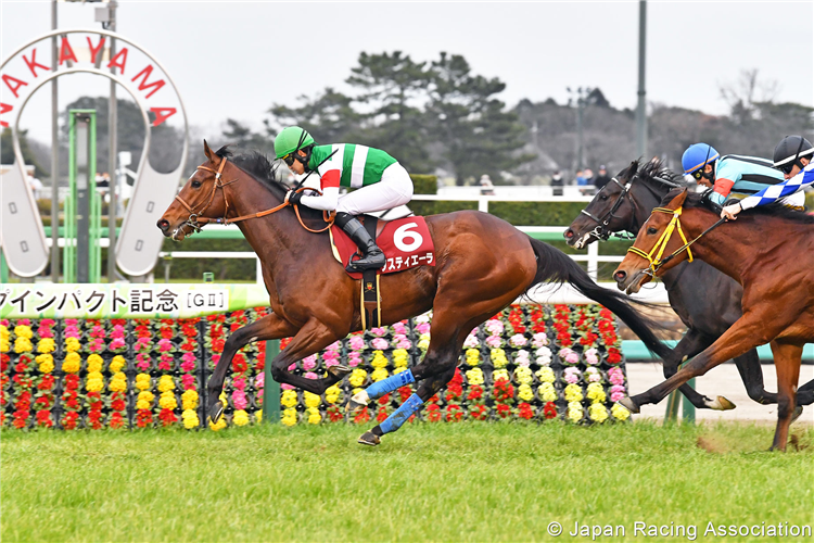 TASTIERA winning the Yayoi Sho (Deep Impact Kinen) at Nakayama in Japan.