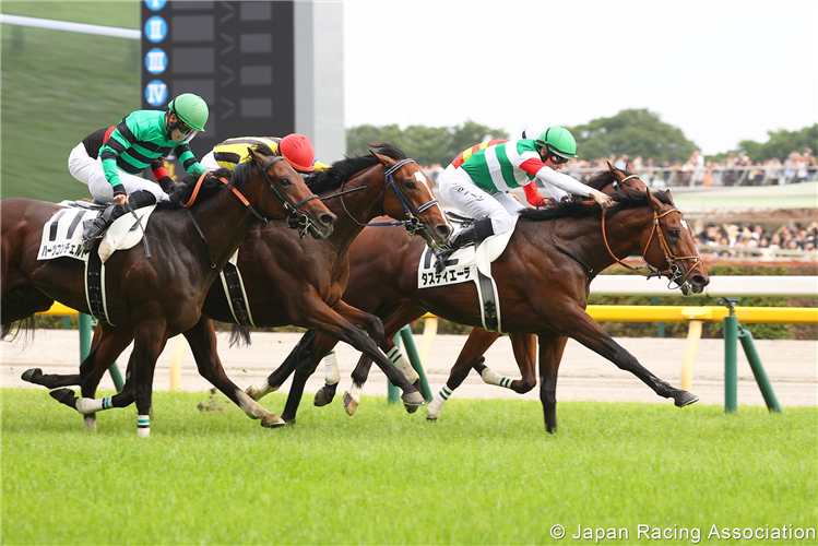 TASTIERA winning the Tokyo Yushun (Japanese Derby) at Tokyo in Japan.