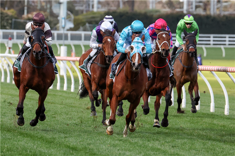 TEEWATERS (blue cap) winning the VOBIS Gold Stayers at Caulfield in Australia.
