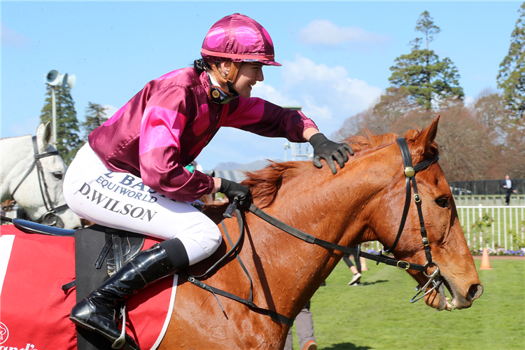 The Buffer provides apprentice with first raceday victory