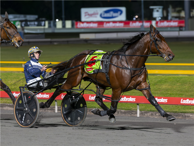 THE LOST STORM winning the 2023 Queensland Derby at Albion Park