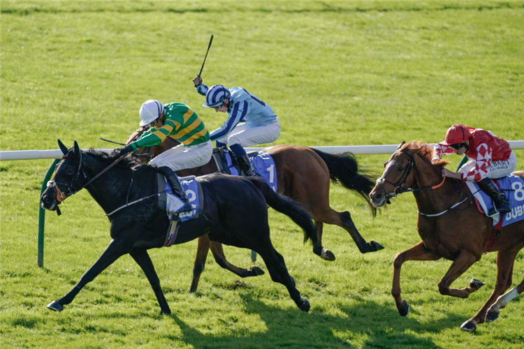 THE SHUNTER winning the Cesarewitch Handicap at Newmarket in England.