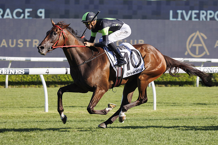 THINK ABOUT IT winning the LIVERPOOL CITY CUP