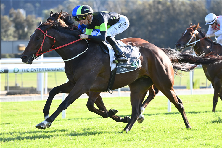 THINK ABOUT IT winning the DE BORTOLI WINES TAKEOVER TARGET STAKES at Gosford in Australia.