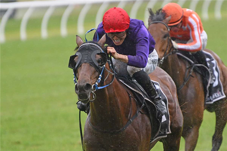 Thunder beating subsequent Group One winner Desert Lightning at Tauranga last start.