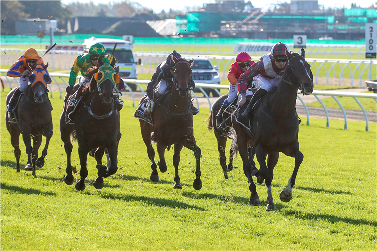TIMES TICKING winning the COCA-COLA CANTERBURY GOLD CUP