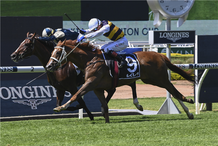 TIMOUR winning the KIA N E MANION CUP at Rosehill in Australia.