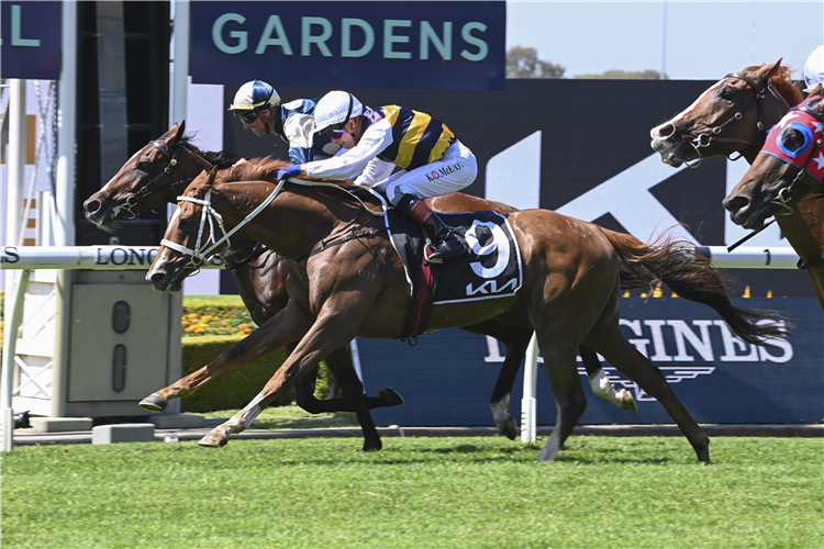 TIMOUR winning the KIA N E MANION CUP at Rosehill in Australia.