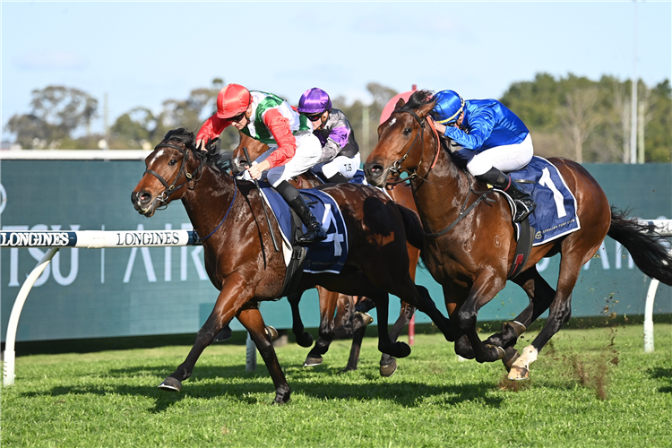 TOM KITTEN (blue silks) winning the Up and Coming Stakes at Rosehill in Australia.