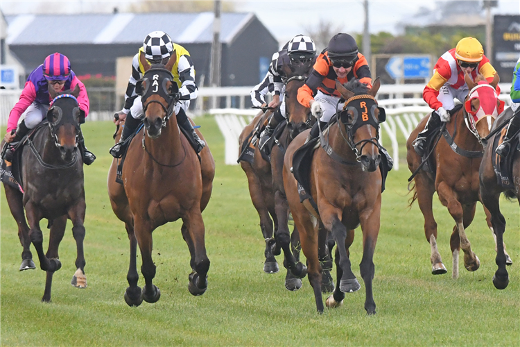 TOWN CRYER (orange & black) winning the GRANGEWILLIAM STUD TARANAKI BREEDERS' STAKES