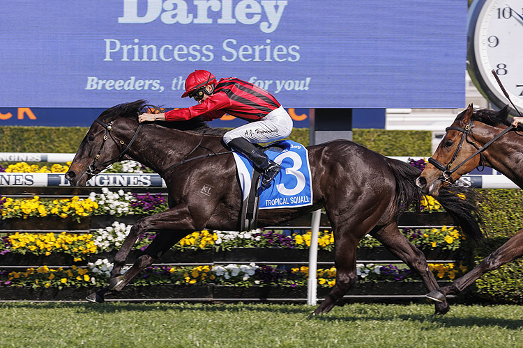 TROPICAL SQUALL winning the DARLEY FLIGHT STAKES at Randwick in Australia.
