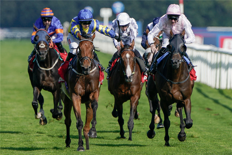 TRUESHAN (blue cap) winning the Doncaster Cup Stakes at Doncaster in England.