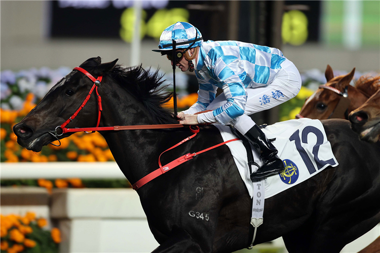 TUCHEL winning the YUEN LONG HANDICAP.